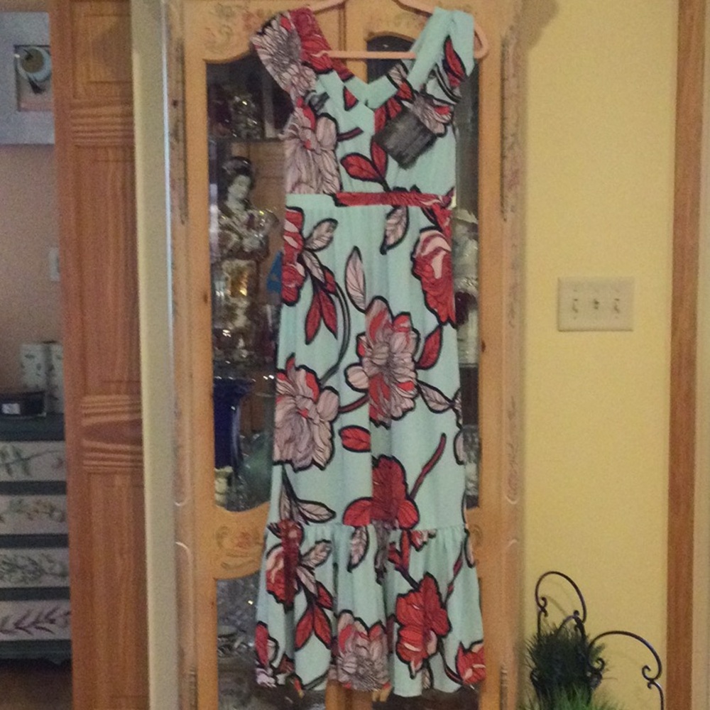 Floral Print Maxi Dress - Red and Black on Blue, NWT